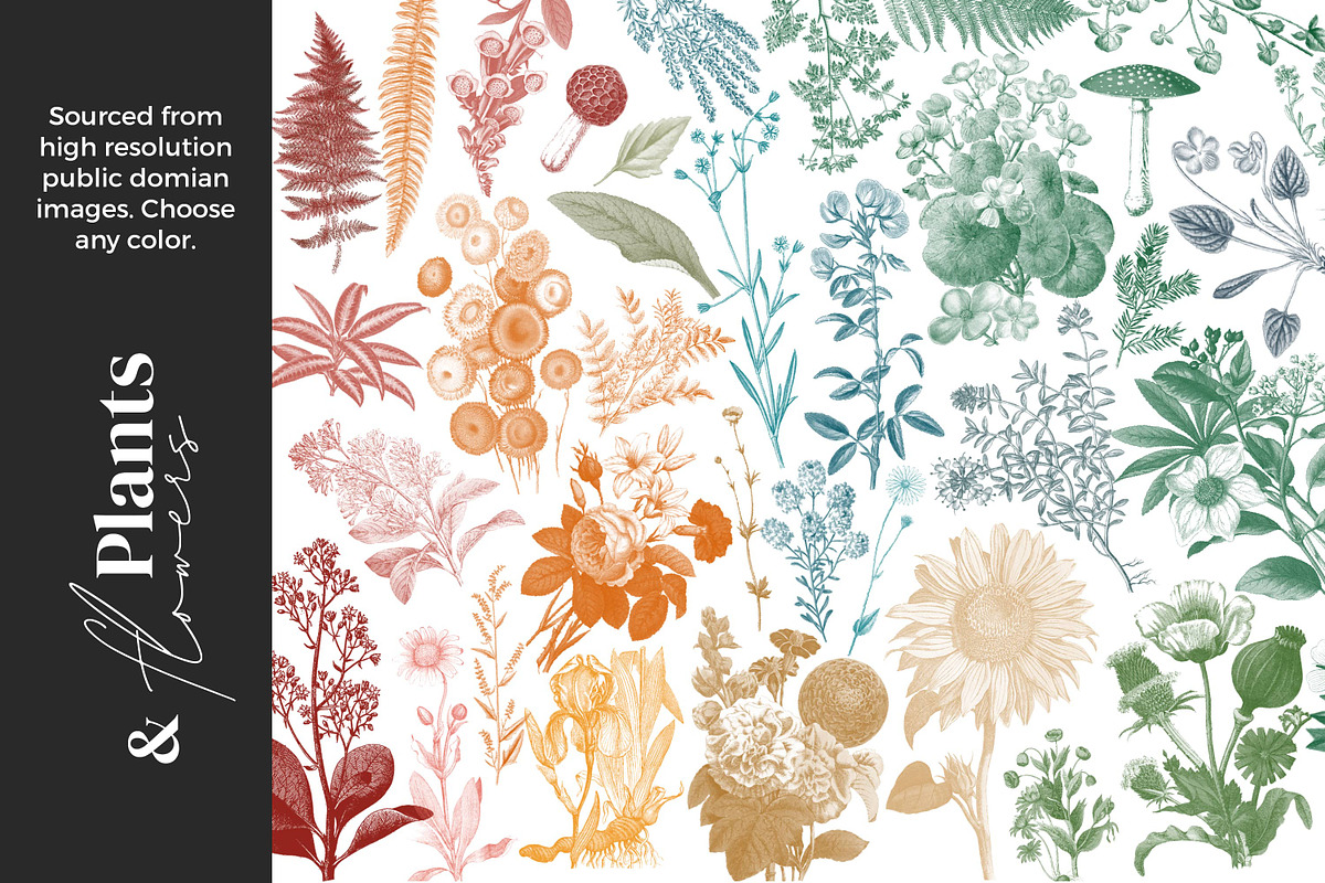 Mixed Media Brushes for Procreate, a Brush Add-On by AJ Brushes (Photo 4 of 9)