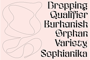 BOPHERA, a Sans Serif Font by Bagerich Type Foundry (Thumbnail 10 of 15)