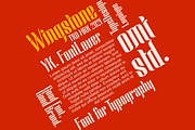 Wingstone, a Sans Serif Font by Omotu Studio (Thumbnail 7 of 12)