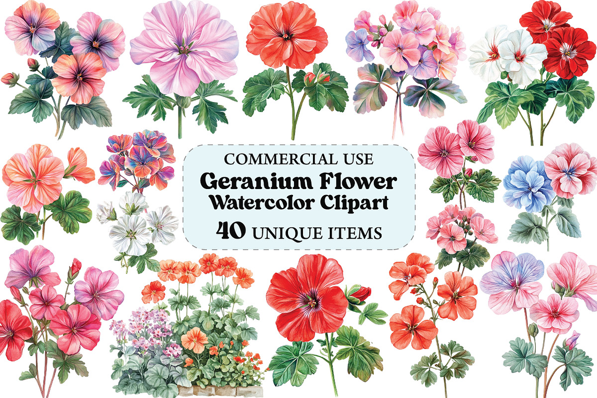 Geranium Flower Watercolor Clipart, an Illustration by Craft Nest (Photo 1 of 5)