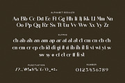 Ganfi Elegant Ligature Serif Font, a Serif Font by Perfectype (Thumbnail 8 of 8)