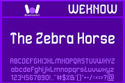 Stitches in time font, a Sans Serif Font by weknow (Thumbnail 6 of 8)