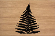 50 Fern Leaf Silhouette Clipart Set, an Illustration by Artivon (Thumbnail 2 of 4)