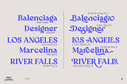 Blue Cashews, a Serif Font by Aluyeah Studio (Thumbnail 11 of 14)