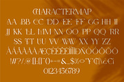 Rilezt || Modern Classy Serif Font, a Serif Font by Ermedia Studio (Thumbnail 10 of 10)