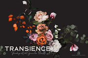 Transience - Hand-painted Gouache, an Illustration by SmallHouseBigPony (Thumbnail 1 of 16)