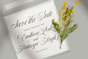 Bustra Script Pro, a Script Font by Alcode (Thumbnail 18 of 18)