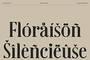 Roneys Drawn, a Serif Font by Craft Supply Co. (Thumbnail 6 of 8)