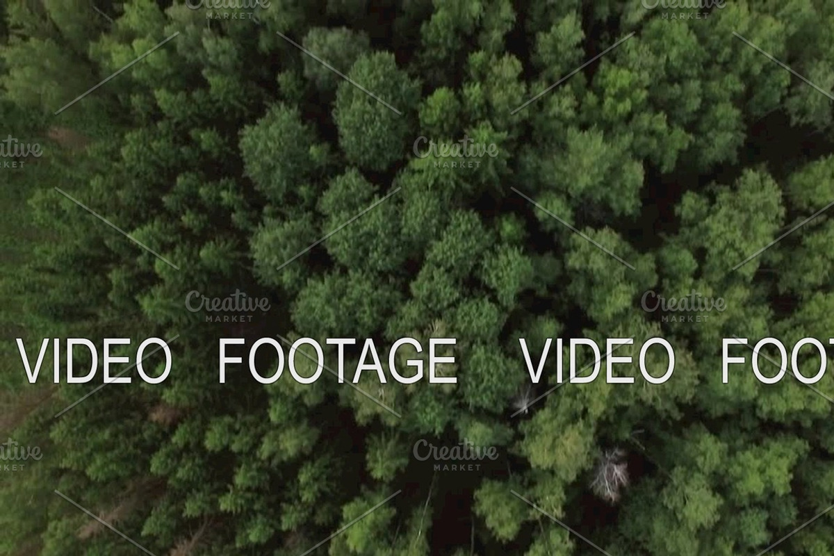 Aerial view of green woods and village houses, Russia, a Graphic by Grey Coast Media (Photo 1 of 2)