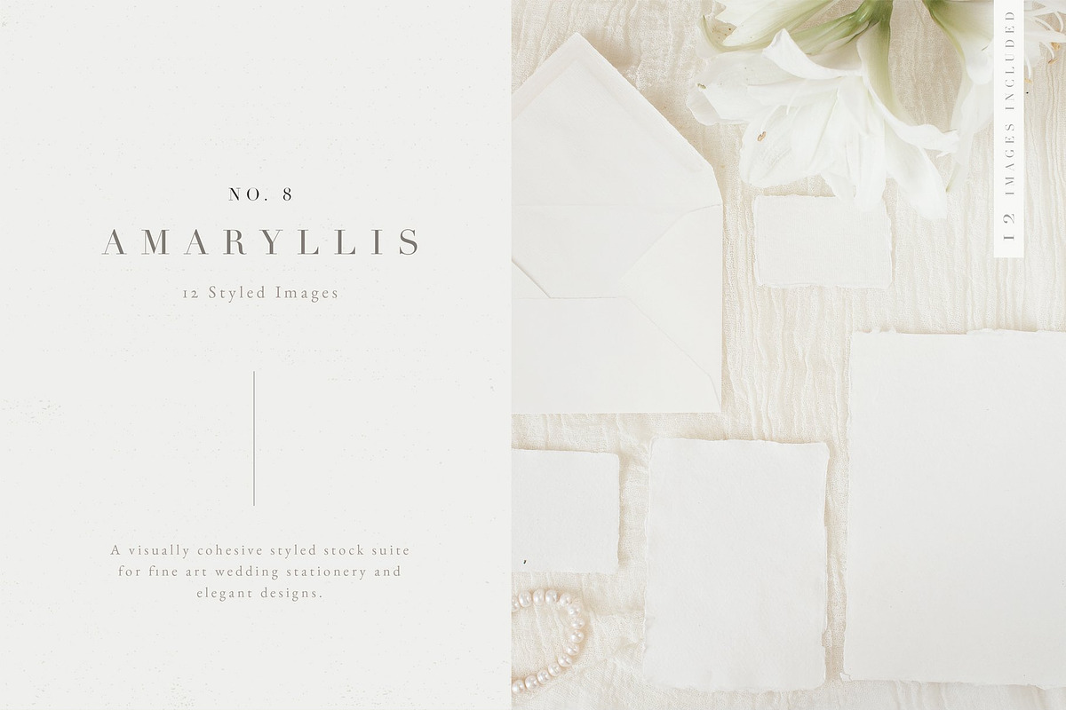 Modern Floral Poster Big Collection, a Texture Illustration by Laras Wonderland (Photo 24 of 27)