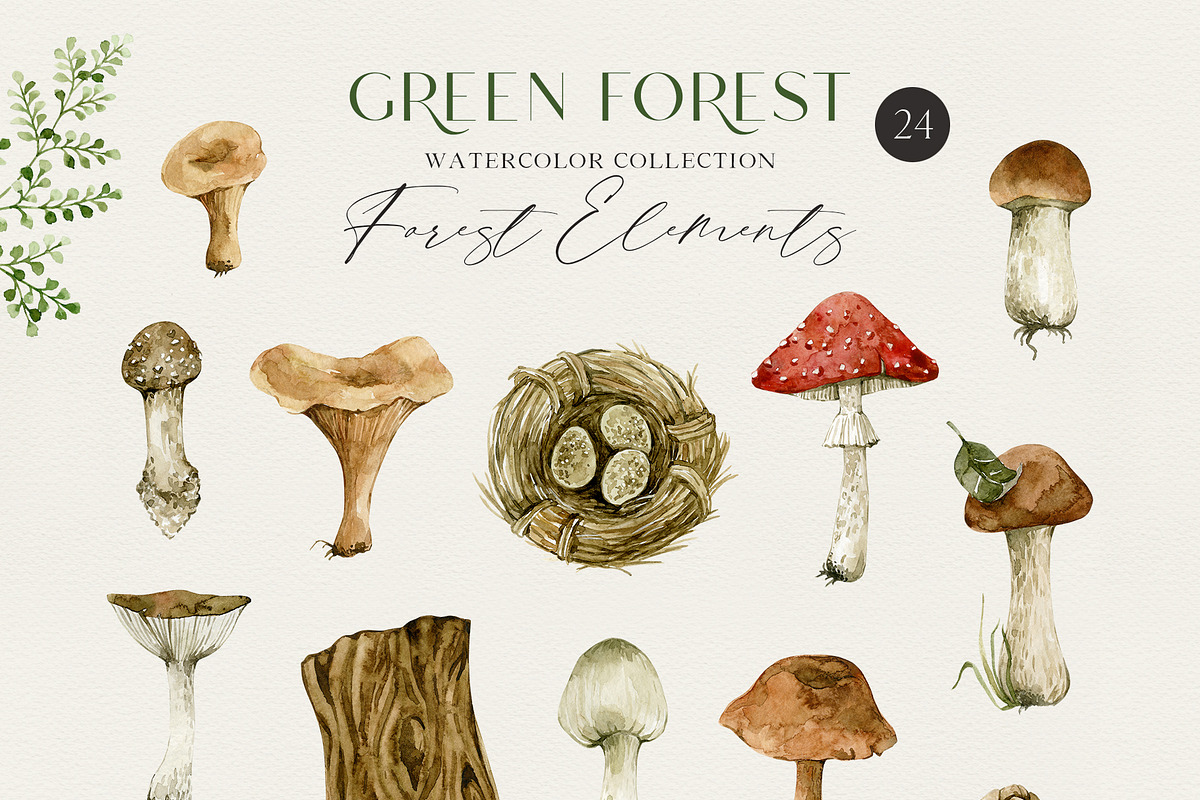 GREEN FOREST watercolor collection, an Object Illustration by long summer (Photo 13 of 17)