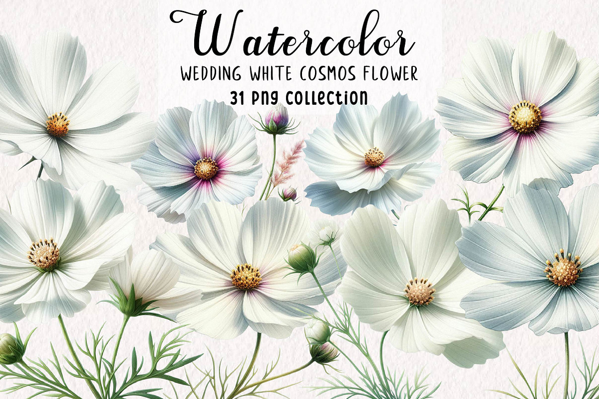 Wedding White Cosmos Flower Clipart, a Decorative Illustration by fashionaddict (Photo 1 of 7)