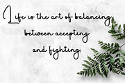 Silky White, a Handwritten Font by FreshTypeINK (Thumbnail 2 of 8)