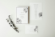 Vintage Tropical Flora Illustrations, an Object Illustration by Jaclyn Caris (Thumbnail 13 of 15)