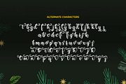 Christmas Seasonal, a Script Font by Doehantz Studio (Thumbnail 8 of 9)