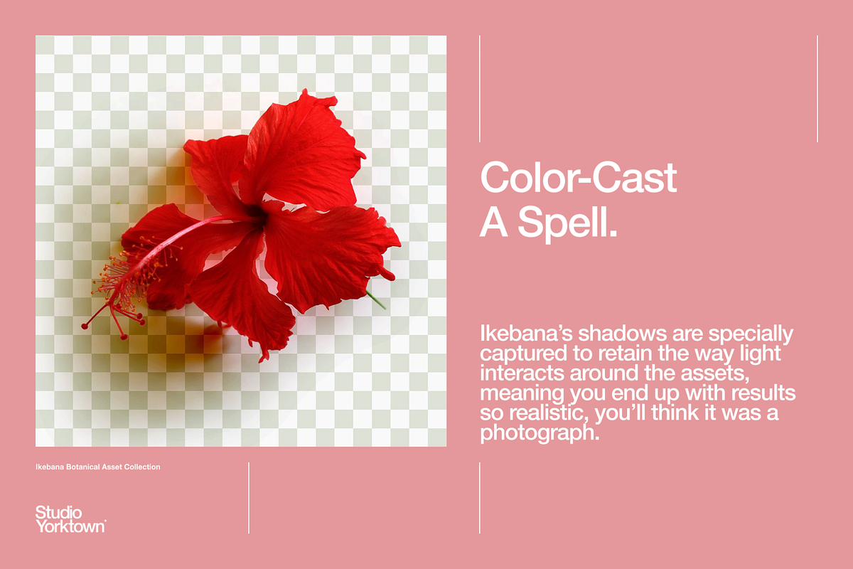 Ikebana Botanical Asset Collection, an Object Graphic by Studio Yorktown (Photo 8 of 15)