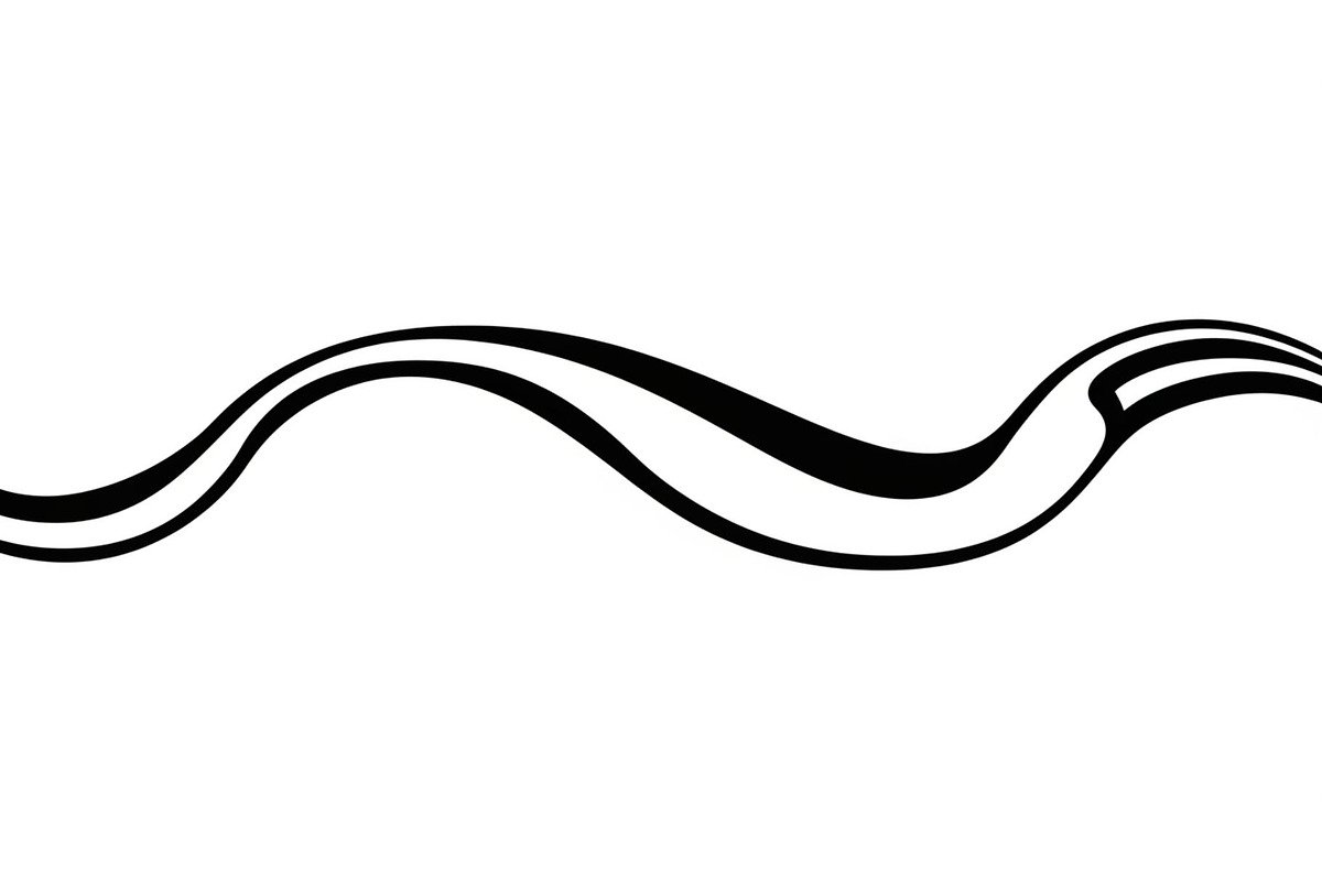 Wavy Divider Line Vector Bundle, an Illustration by jahid234 (Photo 50 of 51)