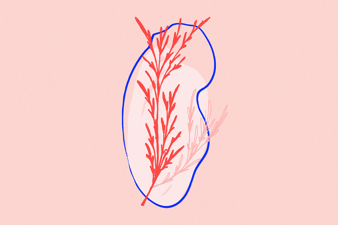 Doodlings - The Botanical Edition, an Object Graphic by Tom Chalky (Photo 16 of 16)
