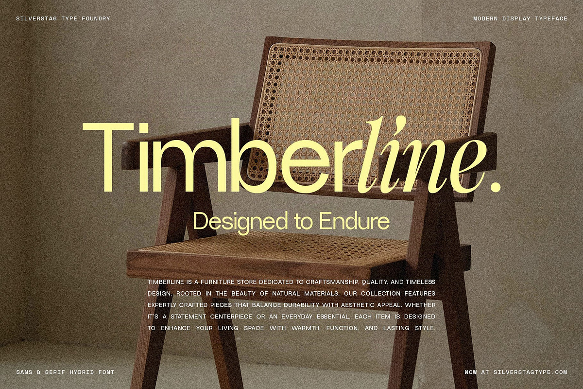 Dessign Maison - Hybrid Display Font, a Serif Font by SilverStag Type Foundry (Photo 13 of 18)