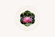 Sacred Geometry and Chakras Vectors, a Graphic by jessicamdesign (Thumbnail 6 of 6)