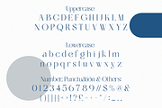 Lysoule - Minimal Luxury Ligature, a Serif Font by Qweera Studio (Thumbnail 12 of 12)