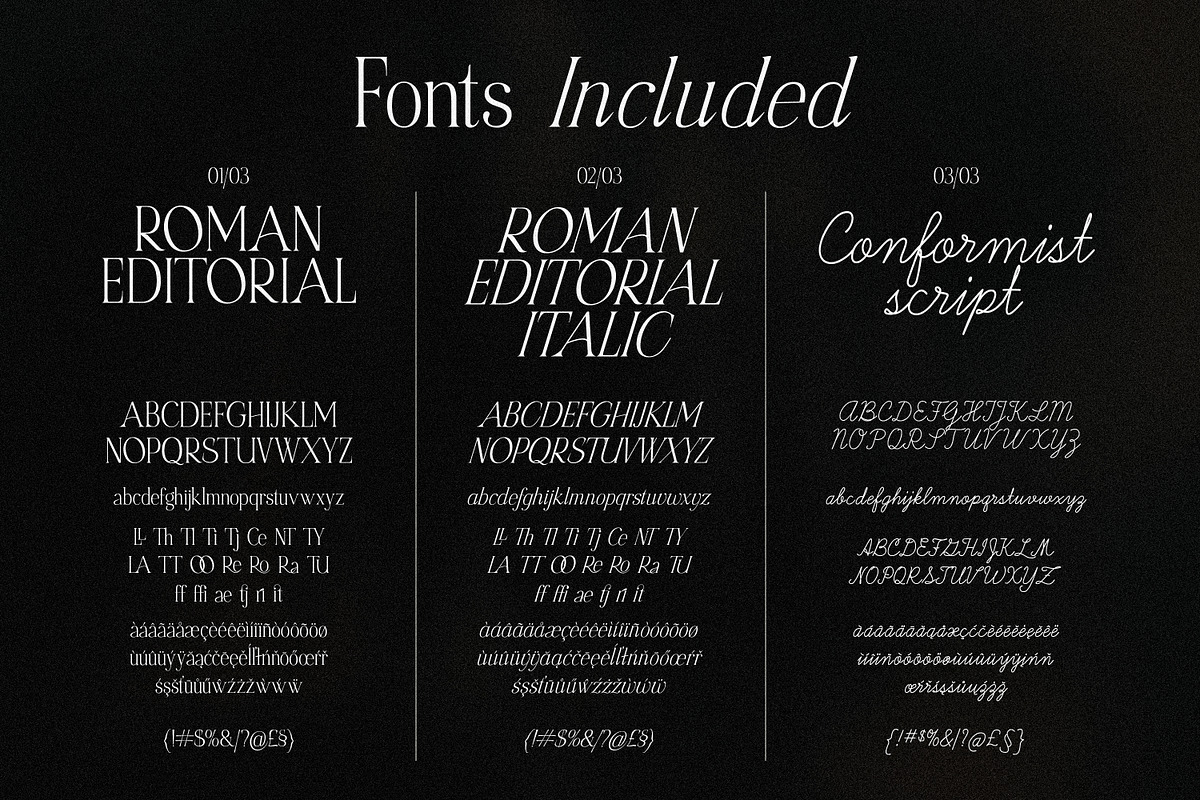 Roman Editorial + Aesthetic Script, a Font by AndrewPixelType (Photo 11 of 11)