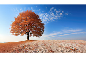 nature tree autumn background ai, a Nature Photo by pikepicture