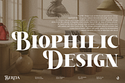 Berita, a Serif Font by Aluyeah Studio (Thumbnail 9 of 15)