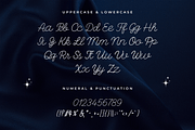 Delarose – A Monoline Script Font, a Script Font by overlaytemplates (Thumbnail 4 of 5)