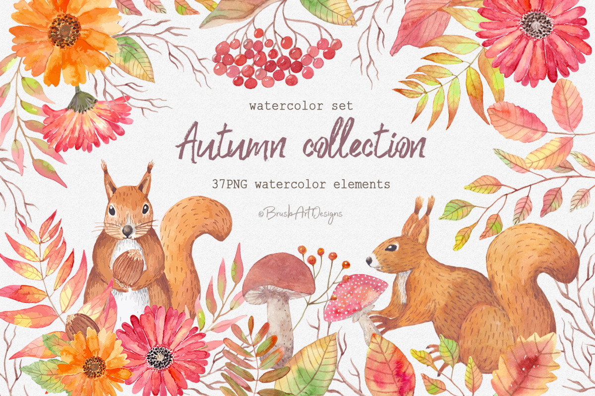 Autumn collection elements, an Illustration by BrushArtDesigns (Photo 1 of 3)
