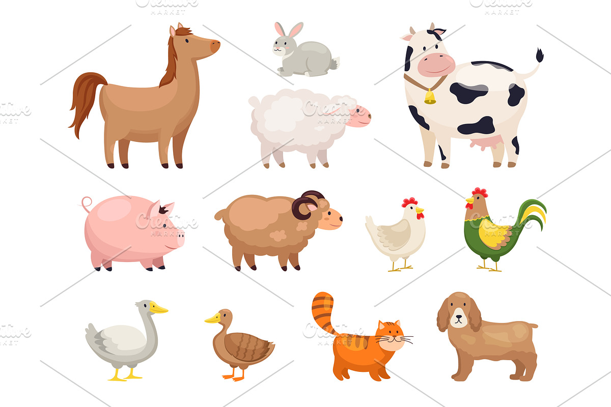 Farm animals. Funny cartoon domestic, an Animal Illustration by YummyBuum