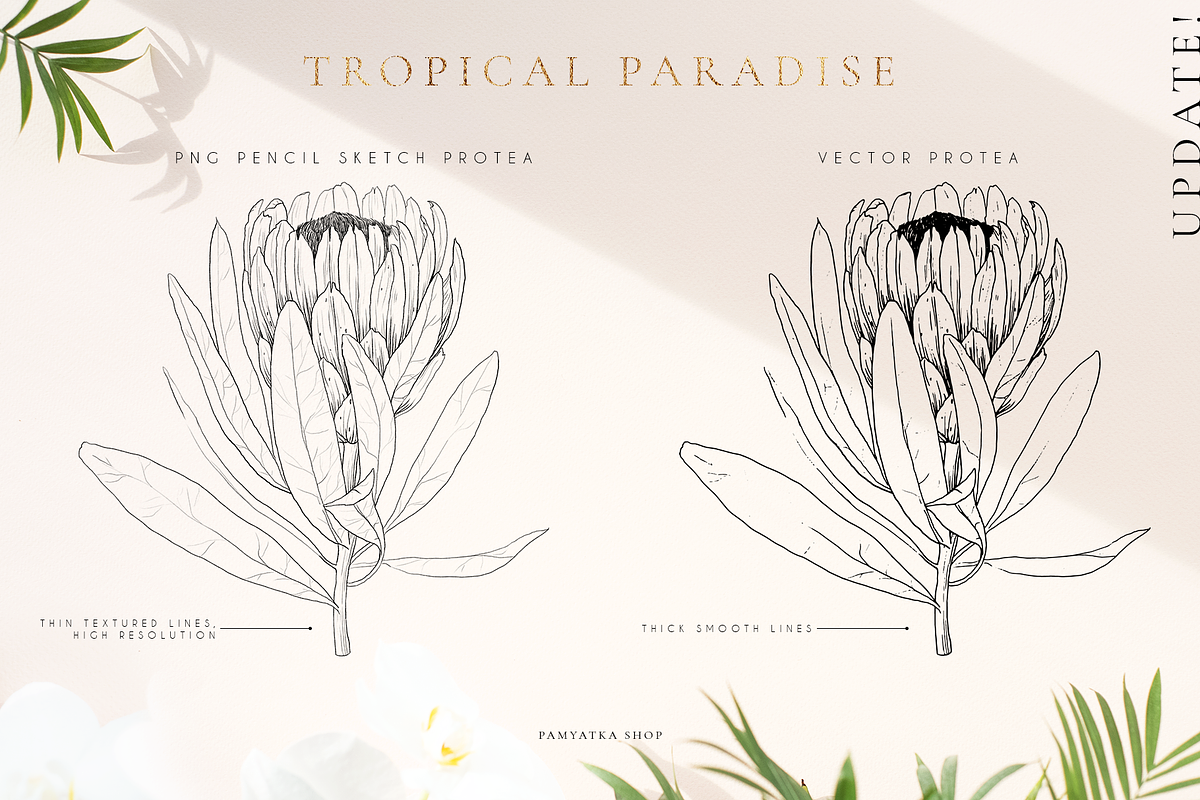 Tropical paradise. Line art set, an Illustration by Pamyatka Shop (Photo 4 of 13)