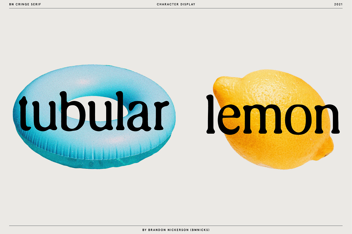 Cringe Serif, a Serif Font by Bnick (Photo 4 of 13)