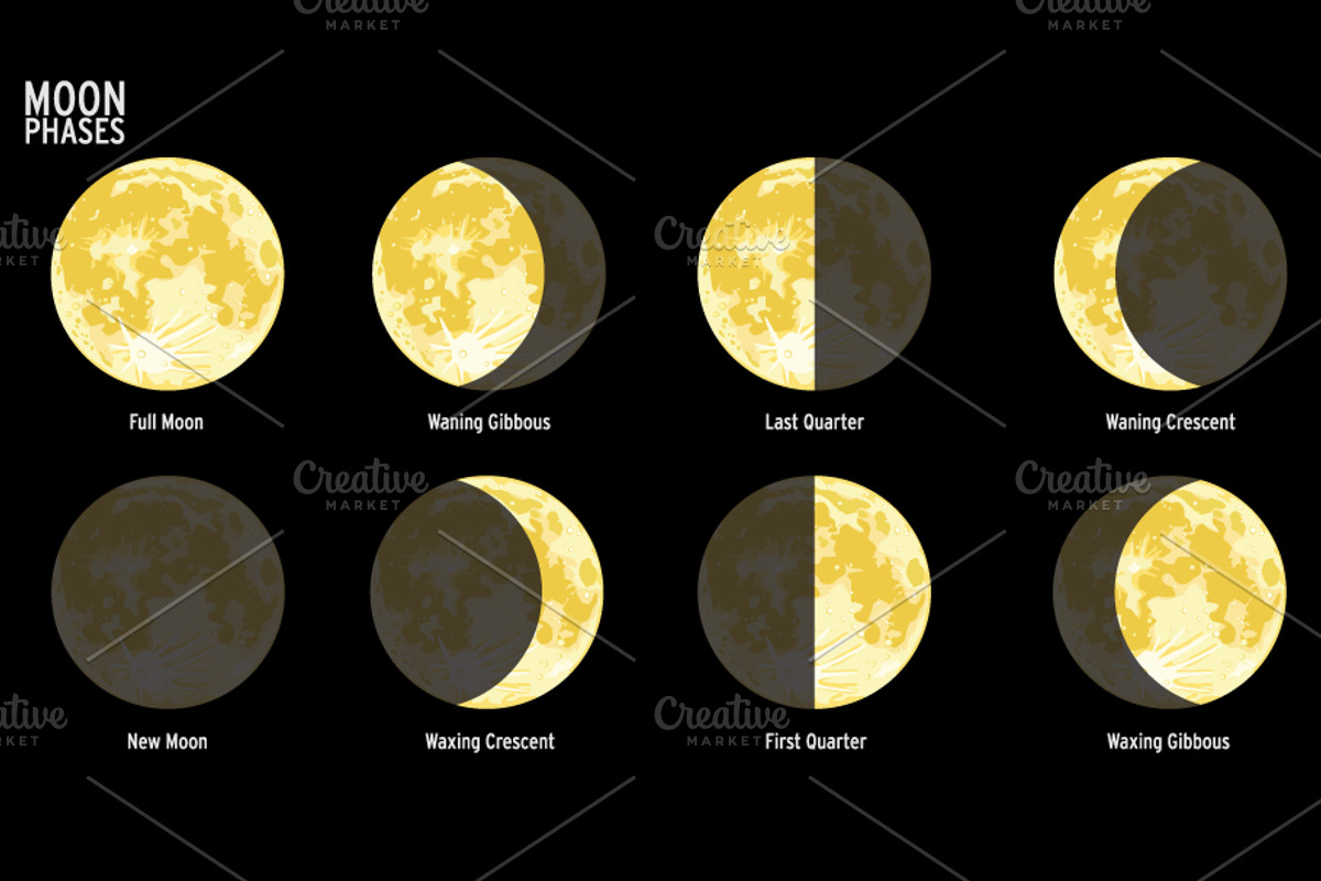 Moon phases, an Illustration by mesblanc (Photo 1 of 3)
