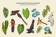 Exotic Birds - Vintage Pattern, a Pattern Graphic by Graphic Goods (Thumbnail 7 of 9)