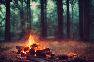 Burning fire in the forest