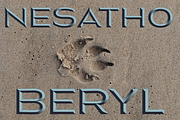 Nesatho OK, a Sans Serif Font by glukfonts (Thumbnail 9 of 10)