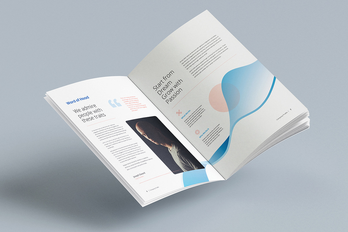 Company Profile, a Brochure Template by Pro-Gh (Photo 7 of 8)