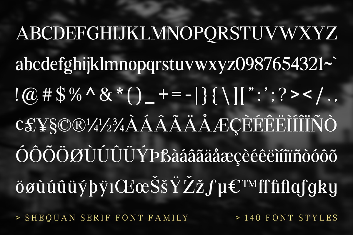 Shequan, a Serif Font by Propertype (Photo 8 of 15)