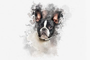 Best Photoshop actions for portraits, an Action Add-On by MRI STUDIO (Thumbnail 6 of 18)