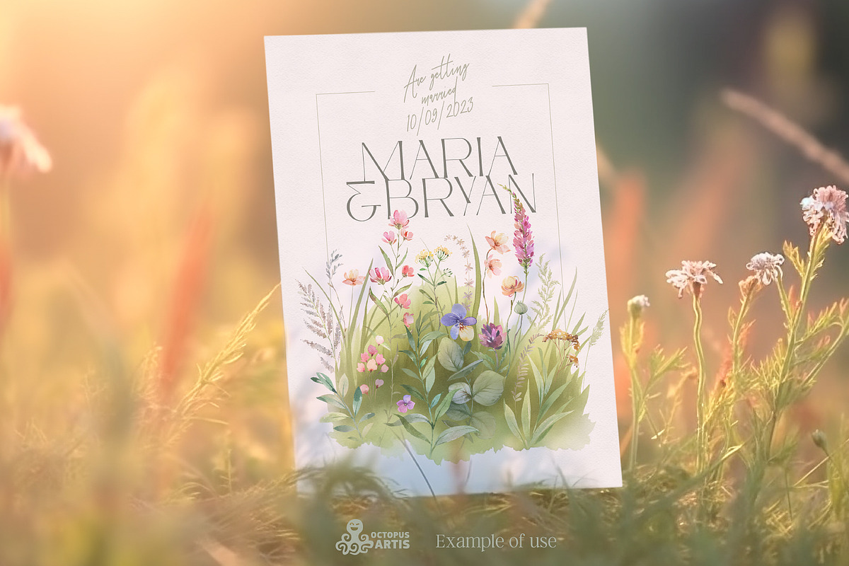 Meadow. Floral Borders & Elements, a Decorative Illustration by OctopusArtis (Photo 4 of 8)