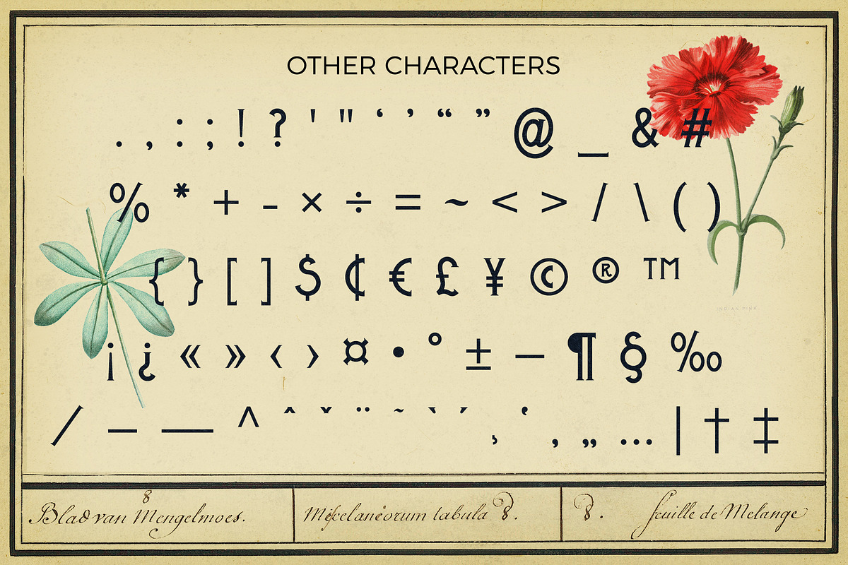 Metrobrew Vintage Typeface preview 5