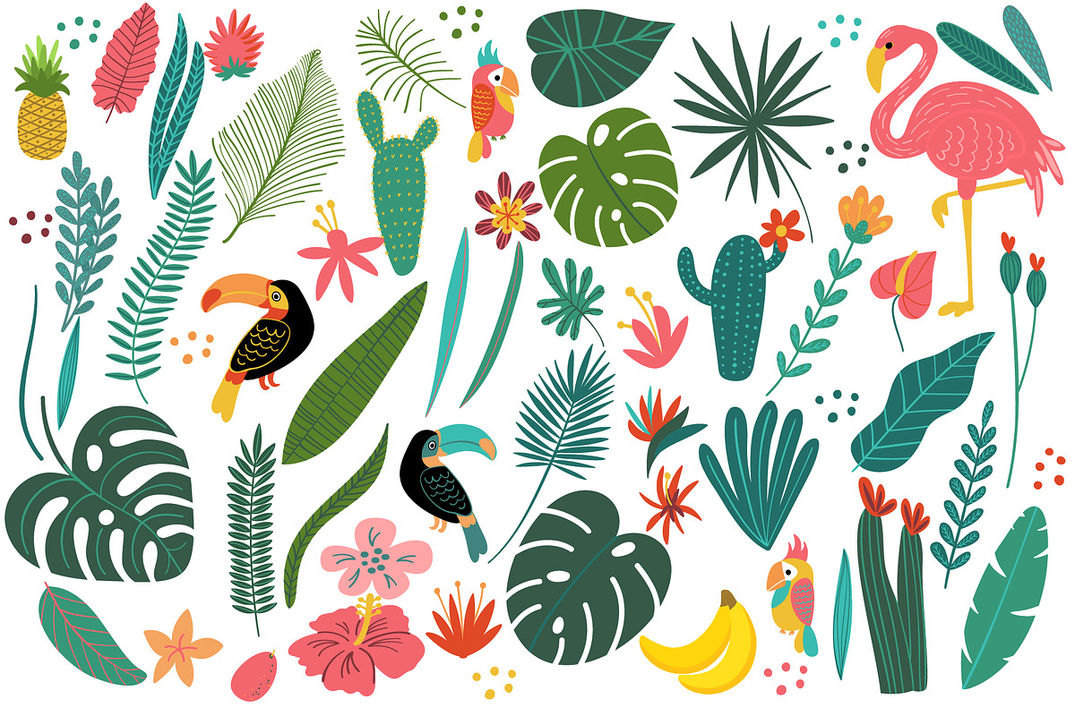Tropical Clip Art & Patterns Set, an Illustration by 5August Art (Photo 3 of 8)