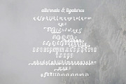 Nostern Script, a Script Font by Letterhend Studio (Thumbnail 9 of 10)