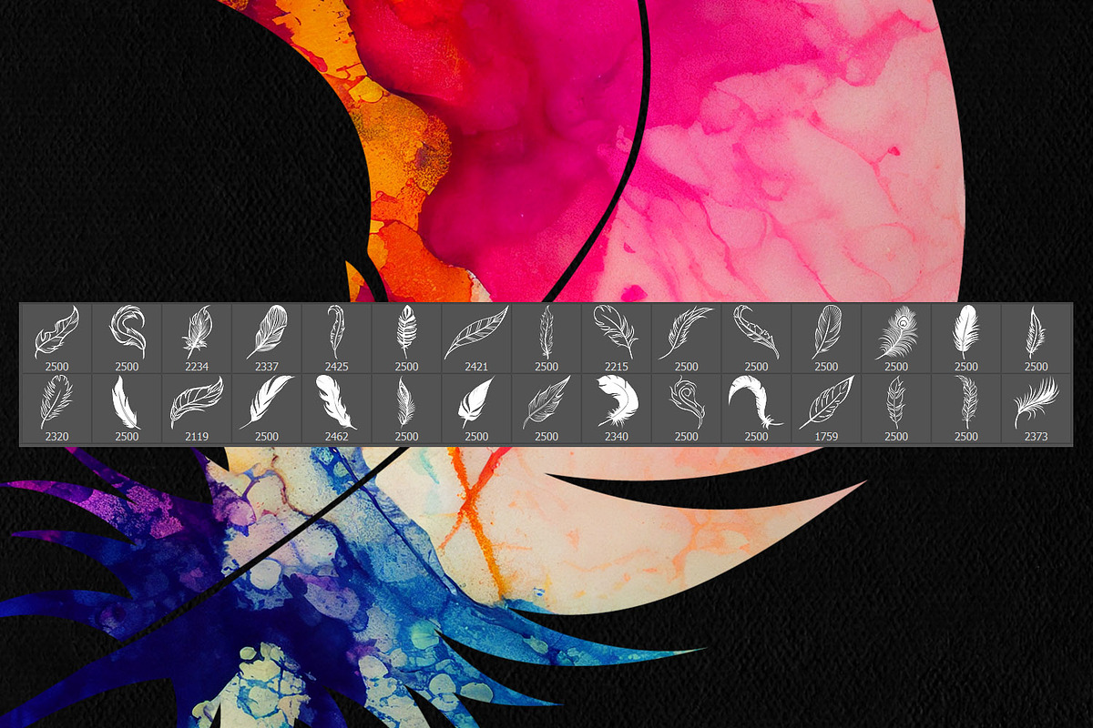 Feather Photoshop Stamp Brushes, a Brush Add-On by ArtistMef (Photo 3 of 4)