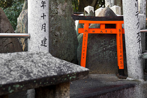 Torii gate in Jaspan, an Architecture Photo by BOOCYS