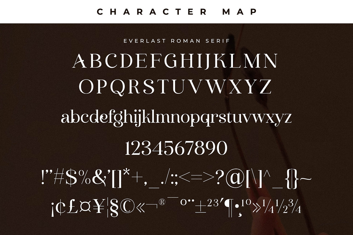 Everlast Roman Font Duo, a Serif Font by Storytype Studio (Photo 13 of 15)