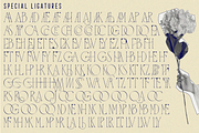 QUARANTINE REGULATIONS FONT, a Serif Font by 177Studio (Thumbnail 6 of 7)