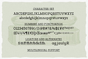 Untold History - Typewriter Font, a Serif Font by Arterfak Project (Thumbnail 13 of 13)