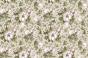 Set Seamless Flowers Dogrose Pattern, a Pattern Graphic by Vintage (Thumbnail 4 of 8)